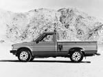 Datsun Pickup Regular Cab 1979 года